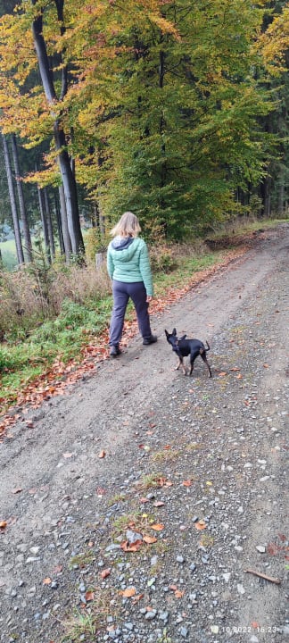 Ausblick Berghotel Hoher Knochen