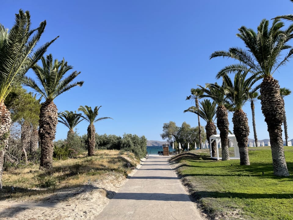 Gartenanlage Caravia Beach Hotel