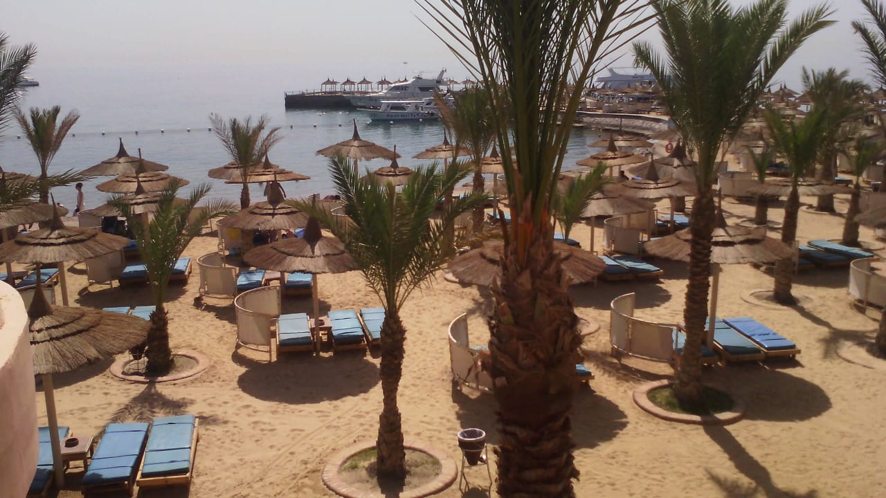 Beach Albatros Resort Beach Albatros Resort