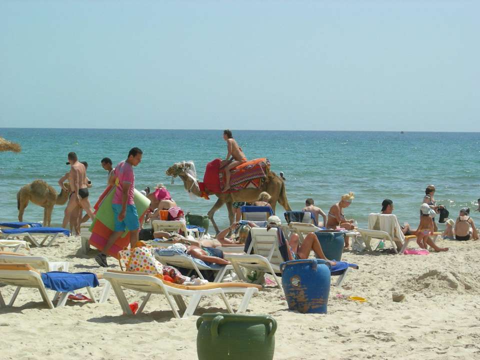 Kamel reiten El Ksar Resort & Thalasso