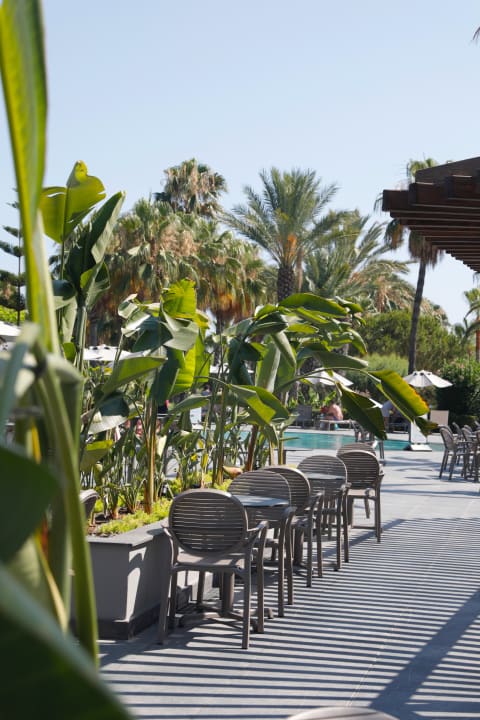 Pool Hotel Miramare Beach