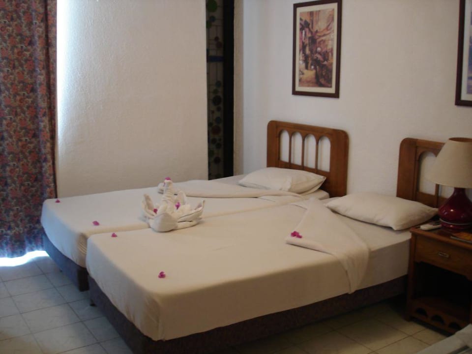 Zimmer Albatros Sharm Resort