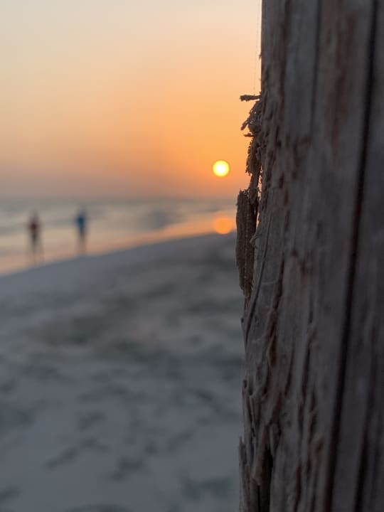 Strand Salalah Rotana Resort