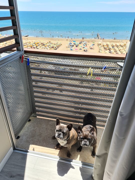 Ausblick Hotel Rosanna