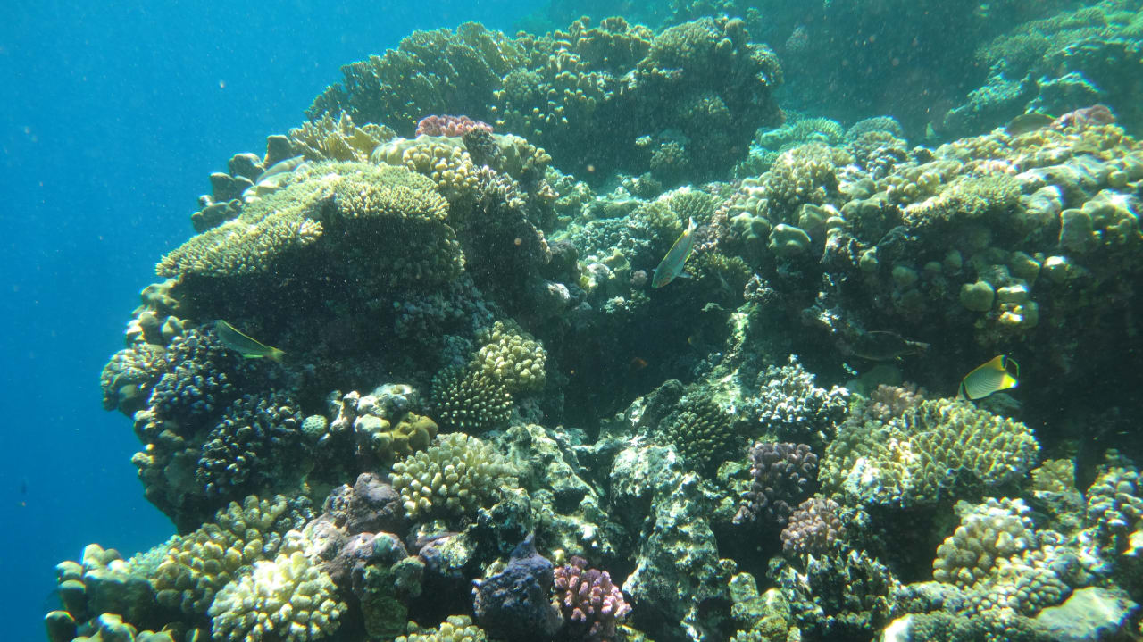 Strand Rohanou Beach Resort