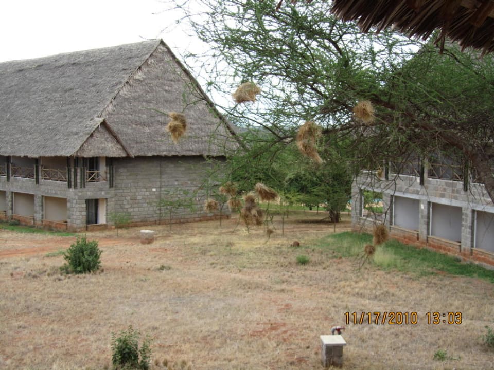 Zimmerausblick Voi Wildlife Lodge