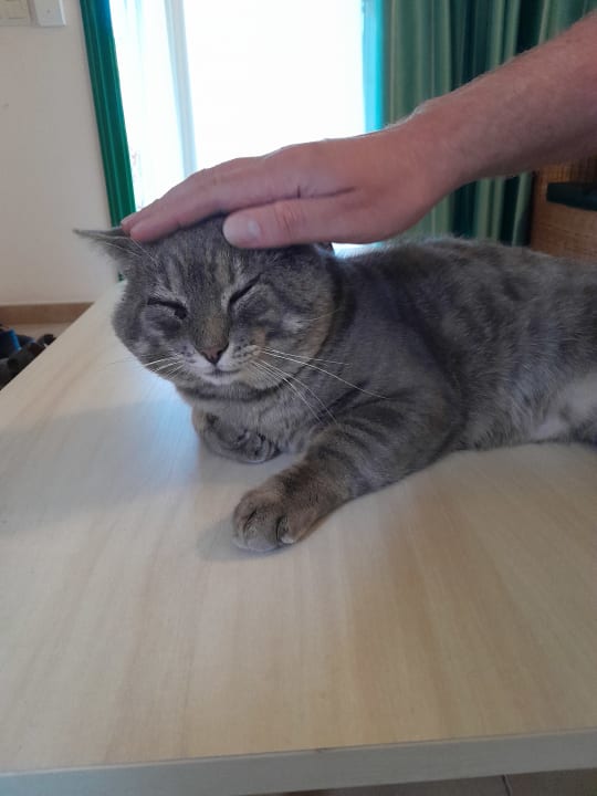 Sonstiges Bungalows Cordial Sandy Golf