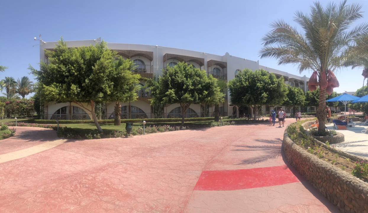 Sonstiges Desert Rose