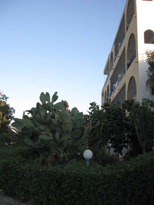 Seitenanblick Hotel Faliraki Bay