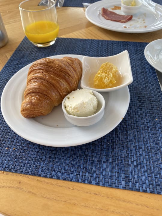 Gastro Acanthus Cennet Barut Collection