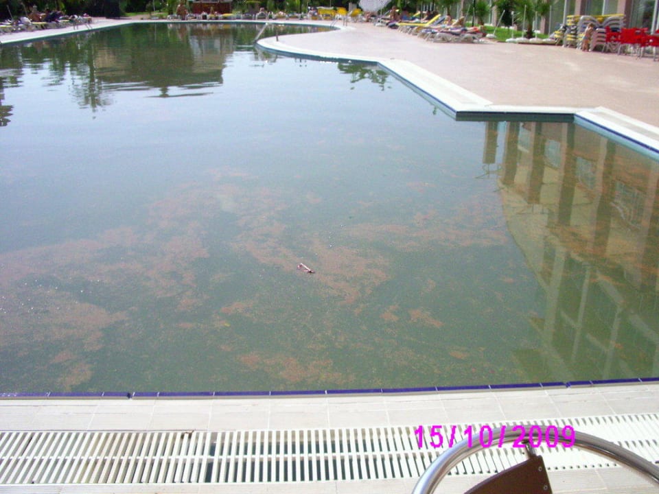 Poollanlage nach Regen Telatiye Resort