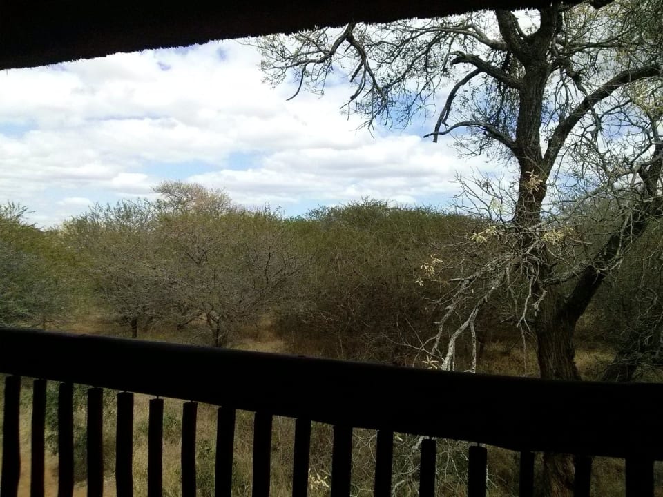 Ausblick von der Veranda aus Kubu Safari Lodge