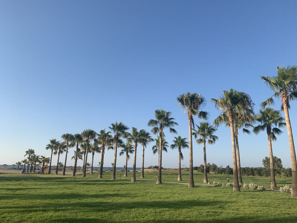 Gartenanlage Delfina Tropic Beach