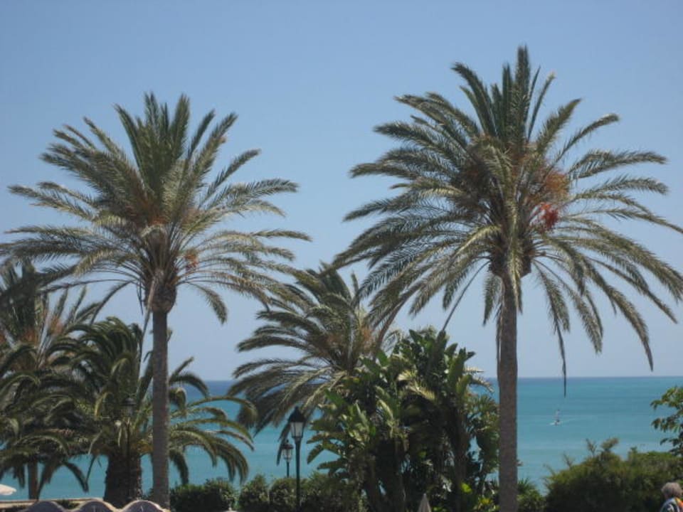 Vom Pool SBH Costa Calma Beach Resort