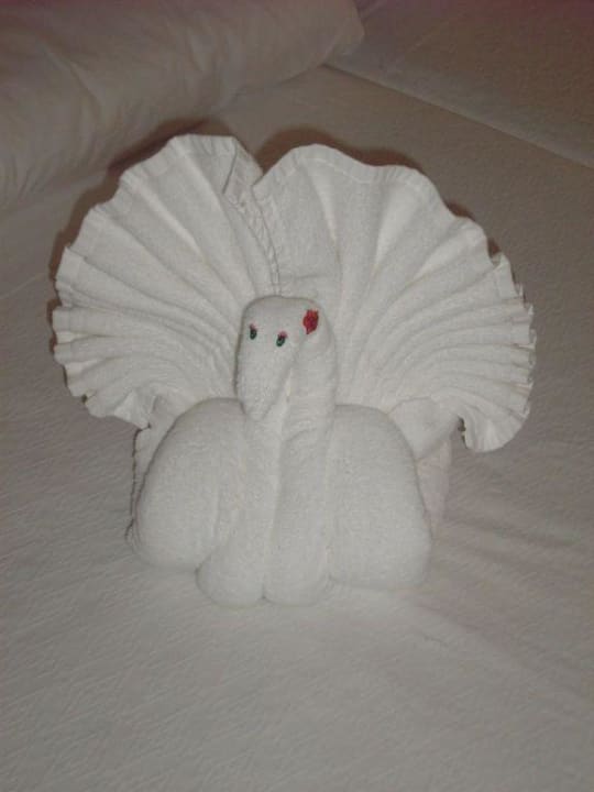 Handtuchtierchen Hotel Riu Palace Riviera Maya