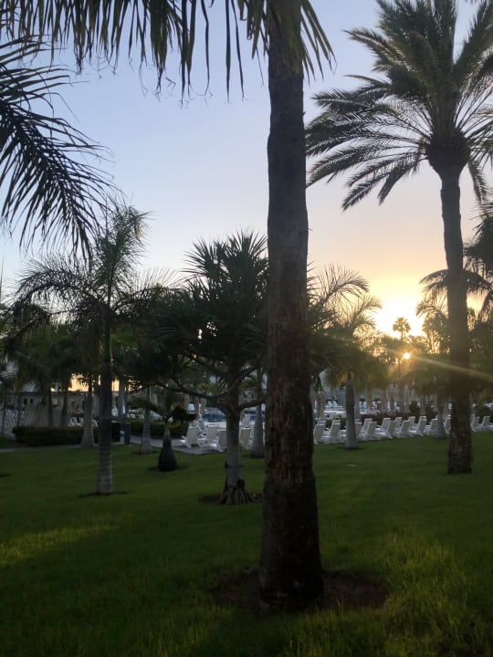 Sonstiges Hotel Riu Palace Meloneras