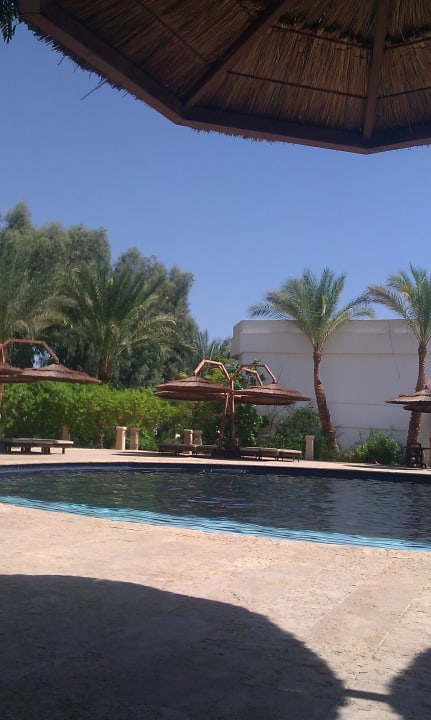 Kleiner, beheizter Pool Ghazala Beach