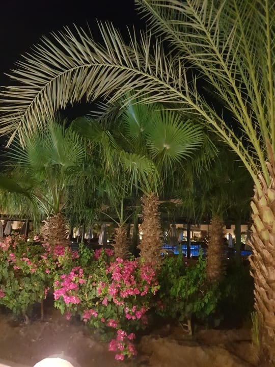 Gartenanlage Three Corners Rihana Resort Deluxe