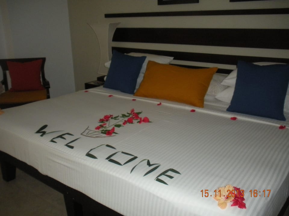 Bett . riesig Club Hotel Dolphin
