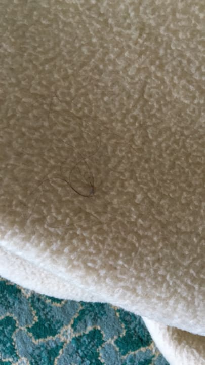 Zimmer El Mouradi Hammamet