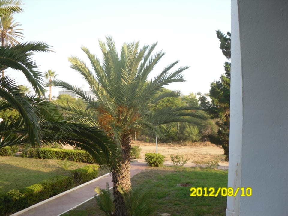 Balkonblick Zimmer 525 Hotel El Mouradi Cap Mahdia