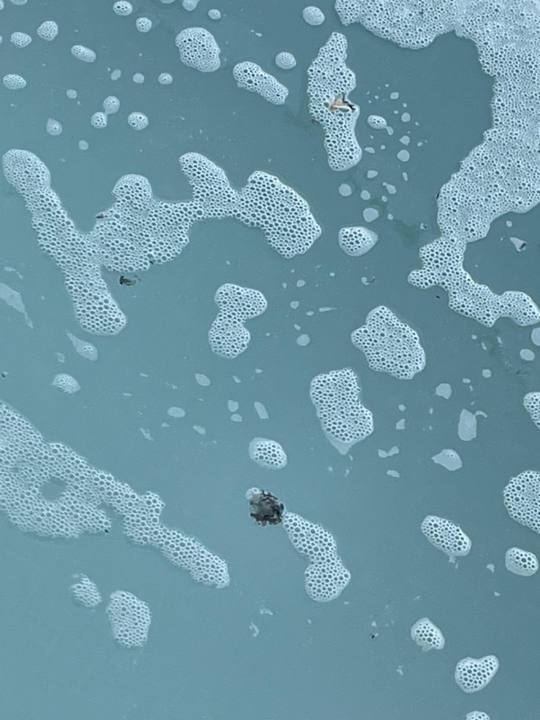 Zimmer Liberty Signa