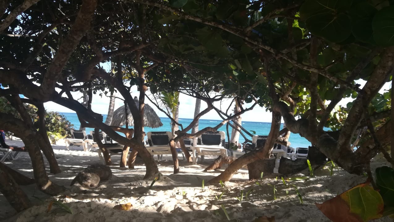 Strand Grand Palladium Select Bávaro Resort & Spa