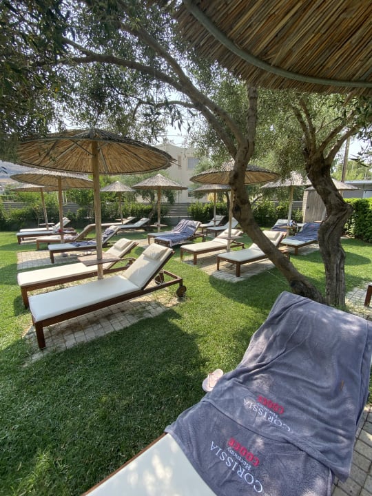 Pool Harmony Boutique Resort