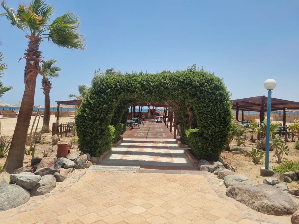 Gastro Shams Safaga Resort