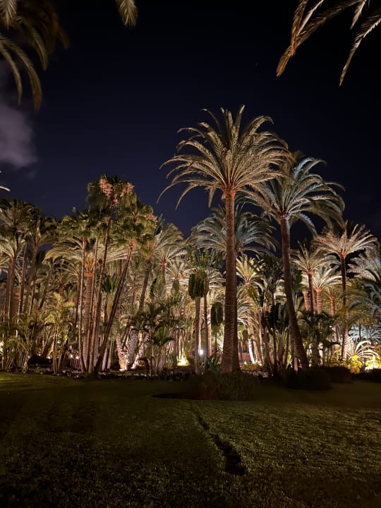 Gartenanlage Hotel Riu Palace Oasis