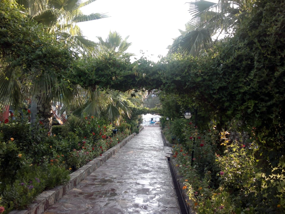 Weg vom Strand zum Pool Holiday Park Resort