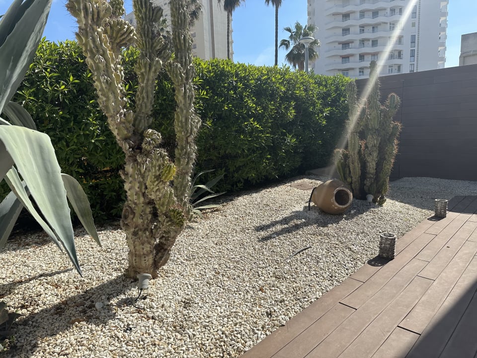 Gartenanlage allsun Hotel Bahia del Este