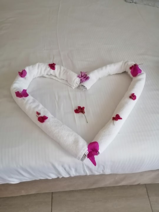 Zimmer Paloma Oceana