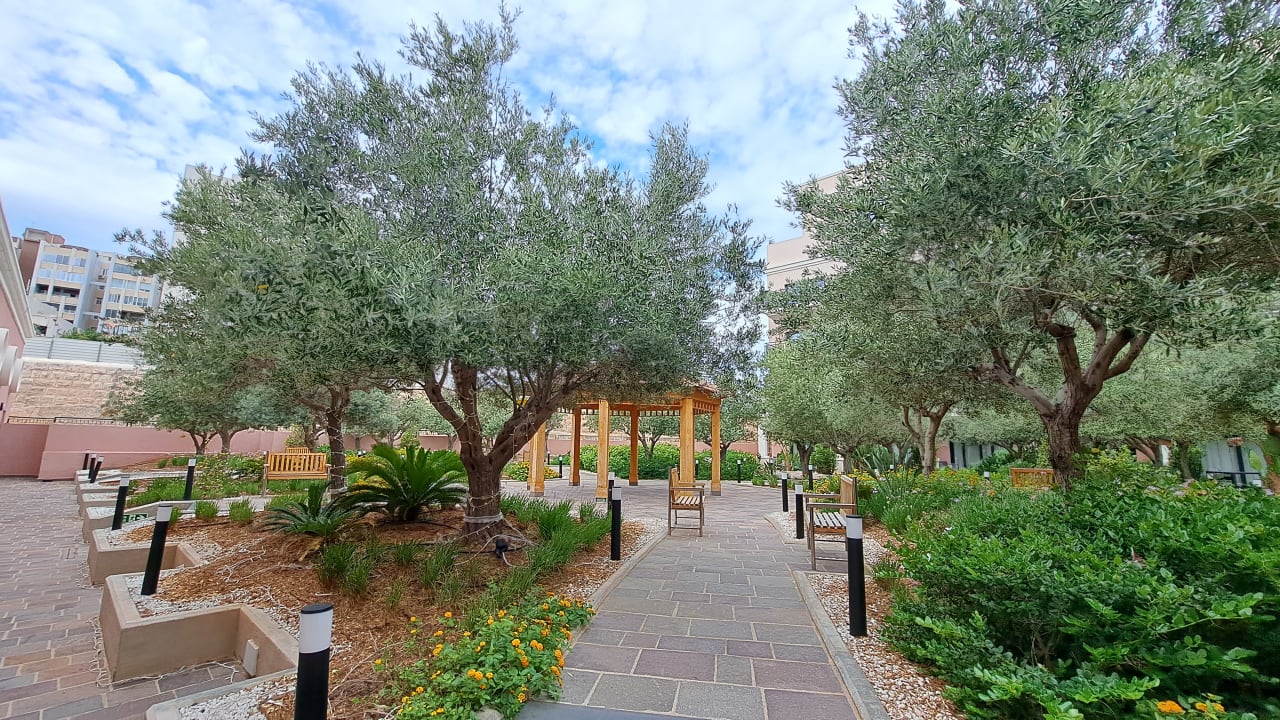 Gartenanlage The Westin Dragonara Resort