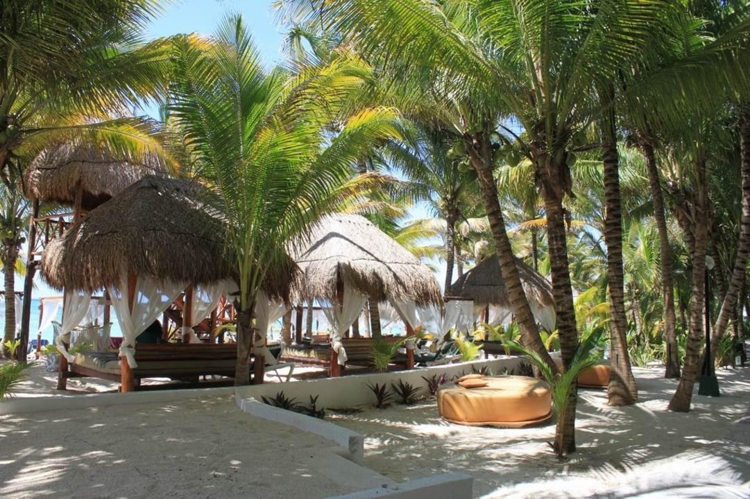 Strand TUI BLUE El Dorado Seaside Suites