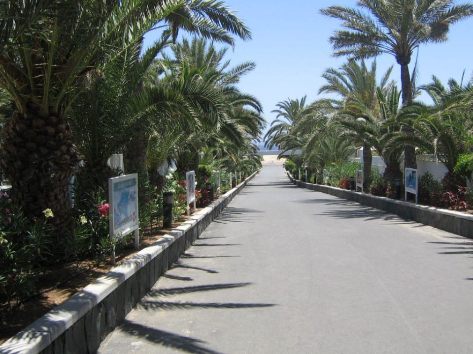 Vom RIU Palace... Hotel Riu Palace Oasis