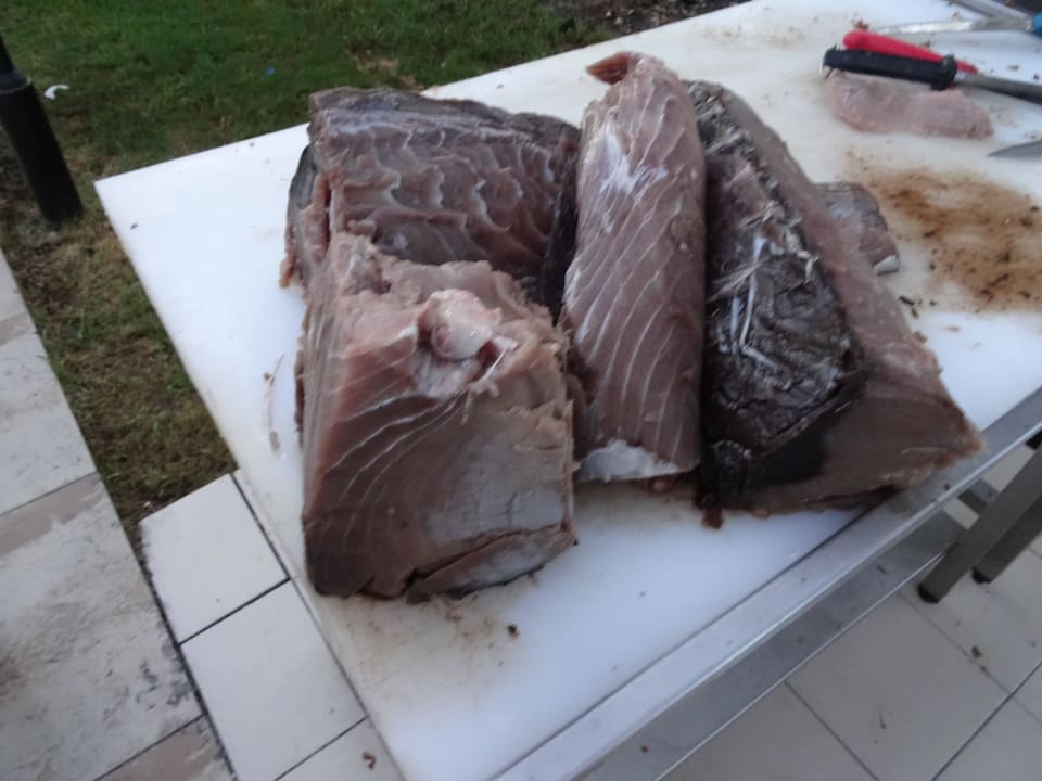 Thunfisch Hotel Süral Resort