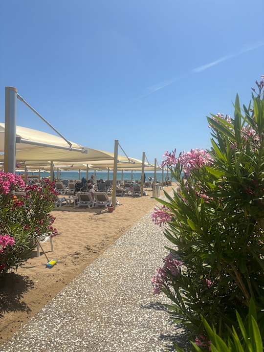 Strand TUI BLUE Xanthe