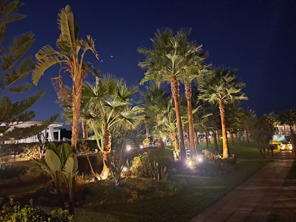 Gartenanlage Hotel Minos Mare Beach