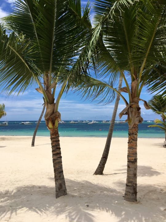 Strand Lopesan Costa Bávaro Resort, Spa & Casino
