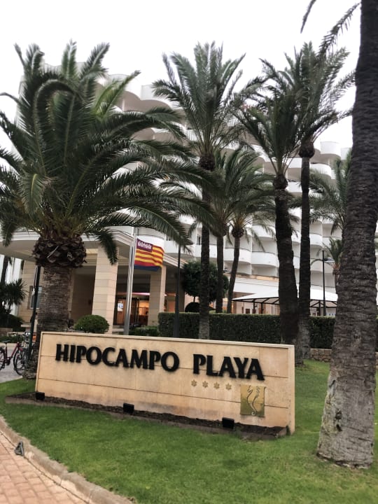 Außenansicht Hipotels Hipocampo Playa