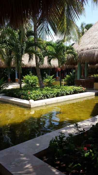 Ausblick beim Frühstück Iberostar Waves Paraiso Beach