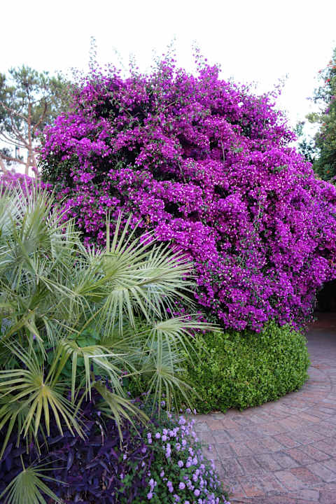 Hotel Marina Club Hotel Marina Club