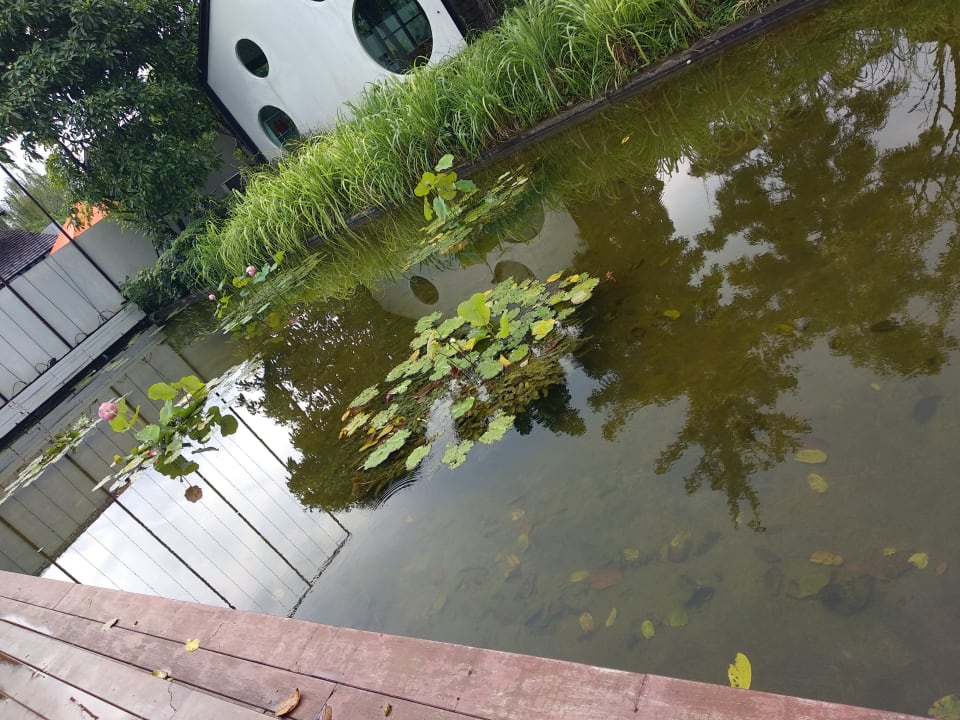 Garten Baywater Resort Koh Samui