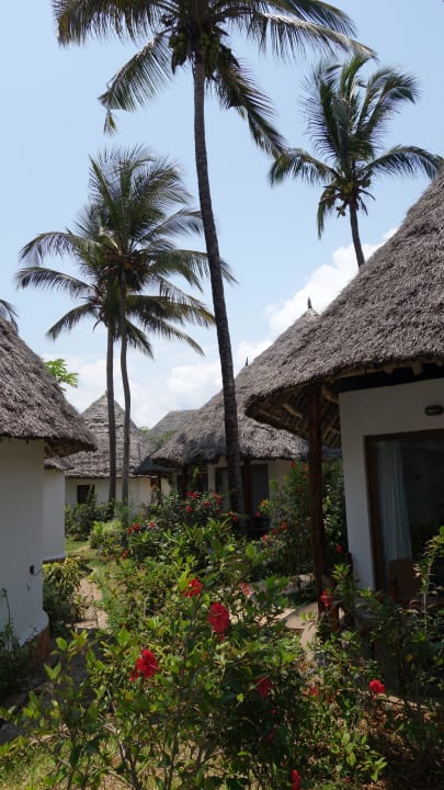 Garten Sultan Sands Island Resort & Spa