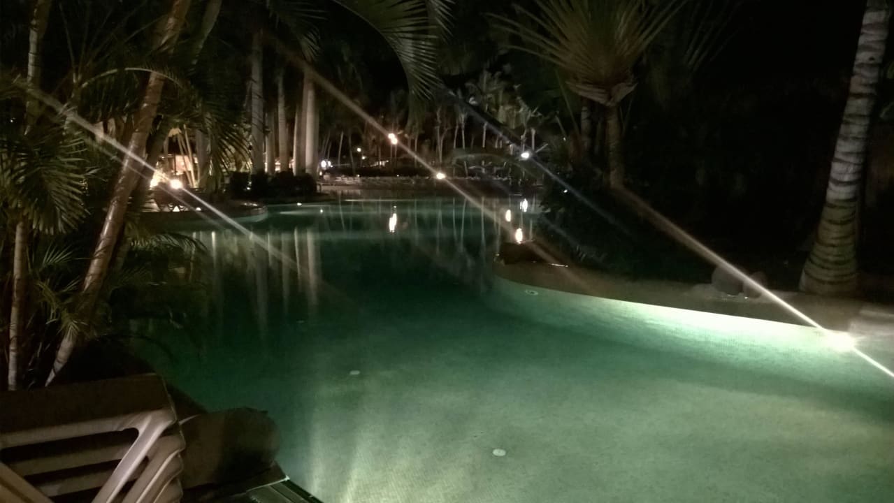 Tabaiba Princess  Tabaiba Princess