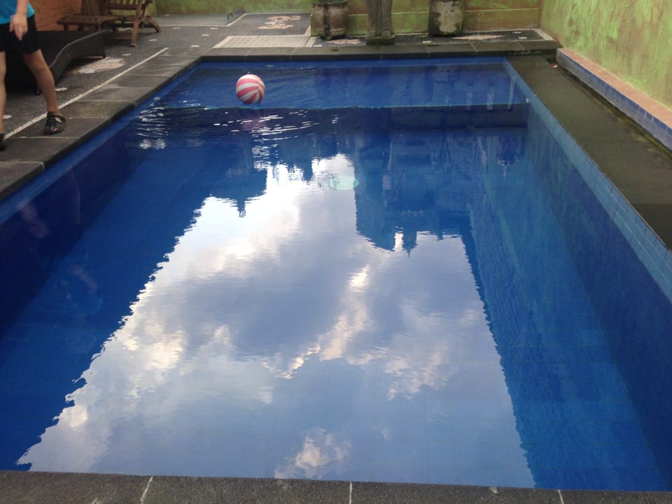 Pool Alamanda Accommodation