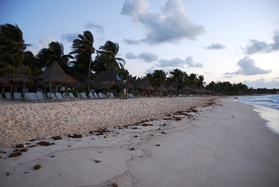 Strand am Morgen (frueh) Hotel Las Palapas