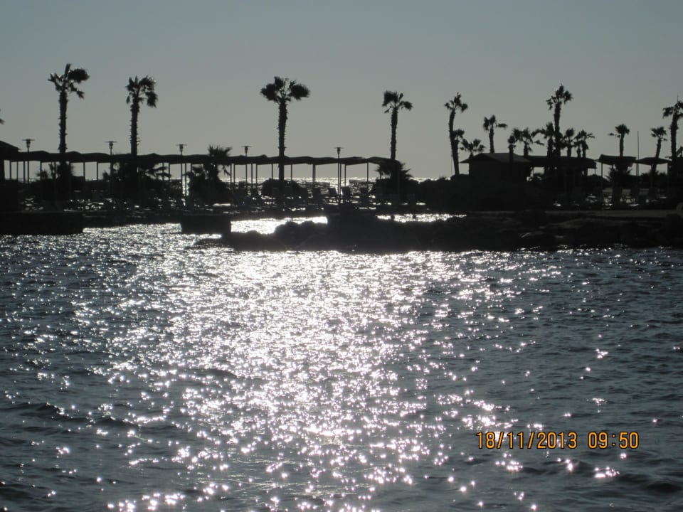 Ноябрь 2013 Pickalbatros Citadel Resort