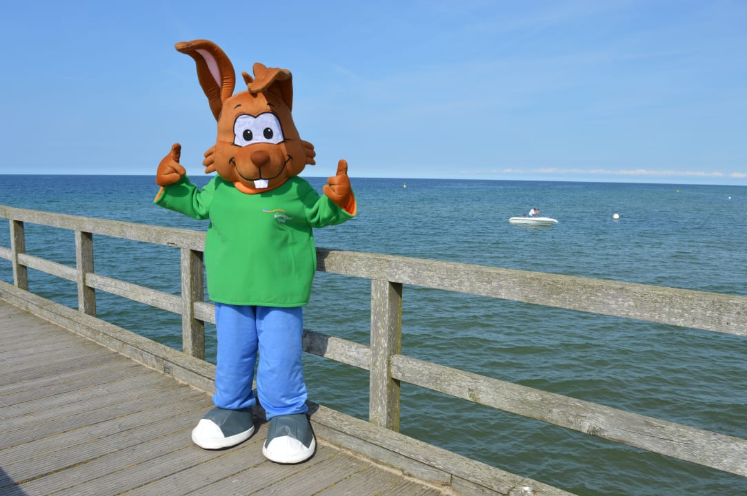 Strand Ferienwohnungen Ferienpark Weissenhäuser Strand